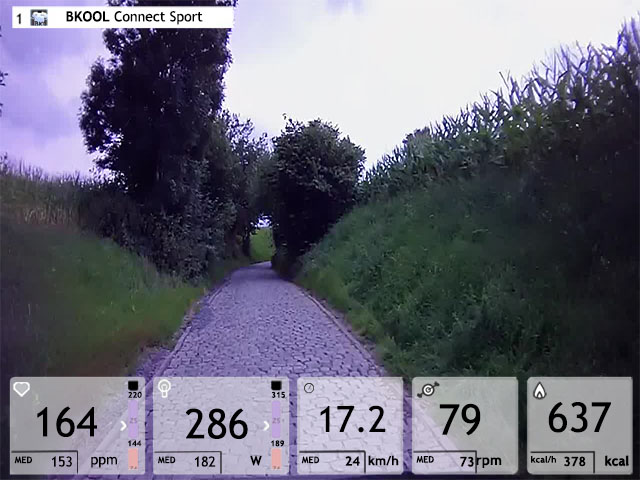 Flandes en BKOOL